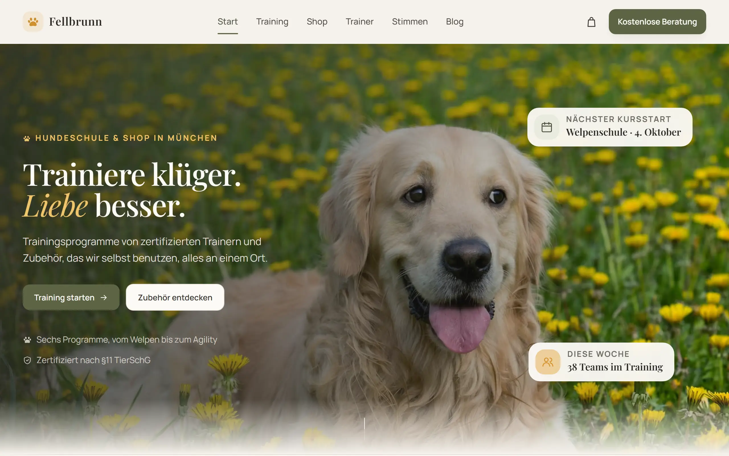 Startseite des Templates Fellbrunn für eine Hundeschule & Zubehör