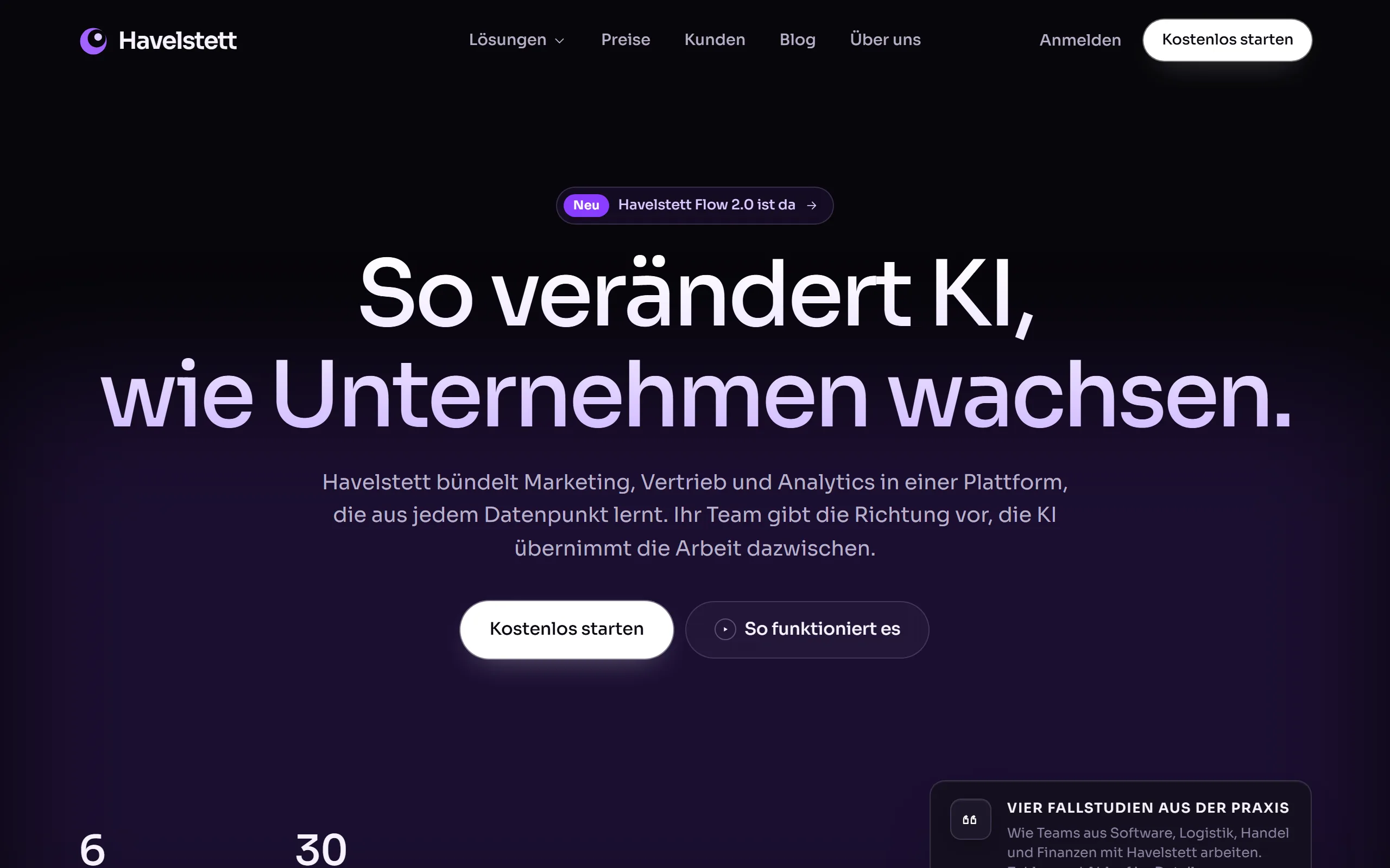 Startseite des Templates Havelstett