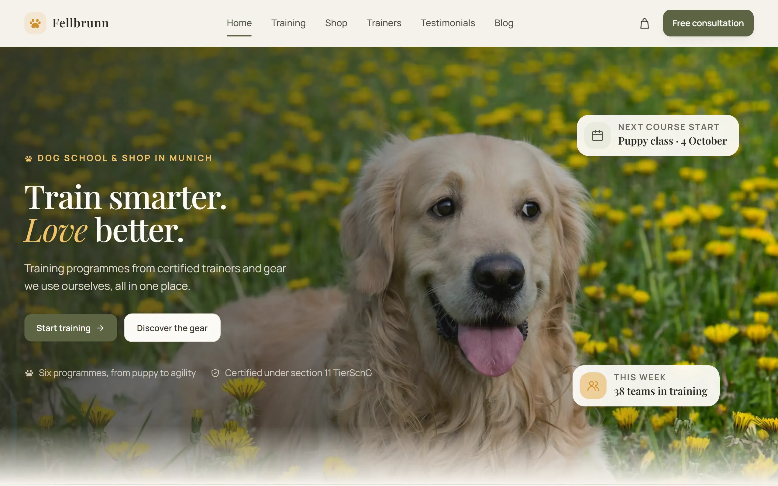 Home page of the Fellbrunn template with a golden retriever in a dandelion meadow, a class card and a card for the free consultation