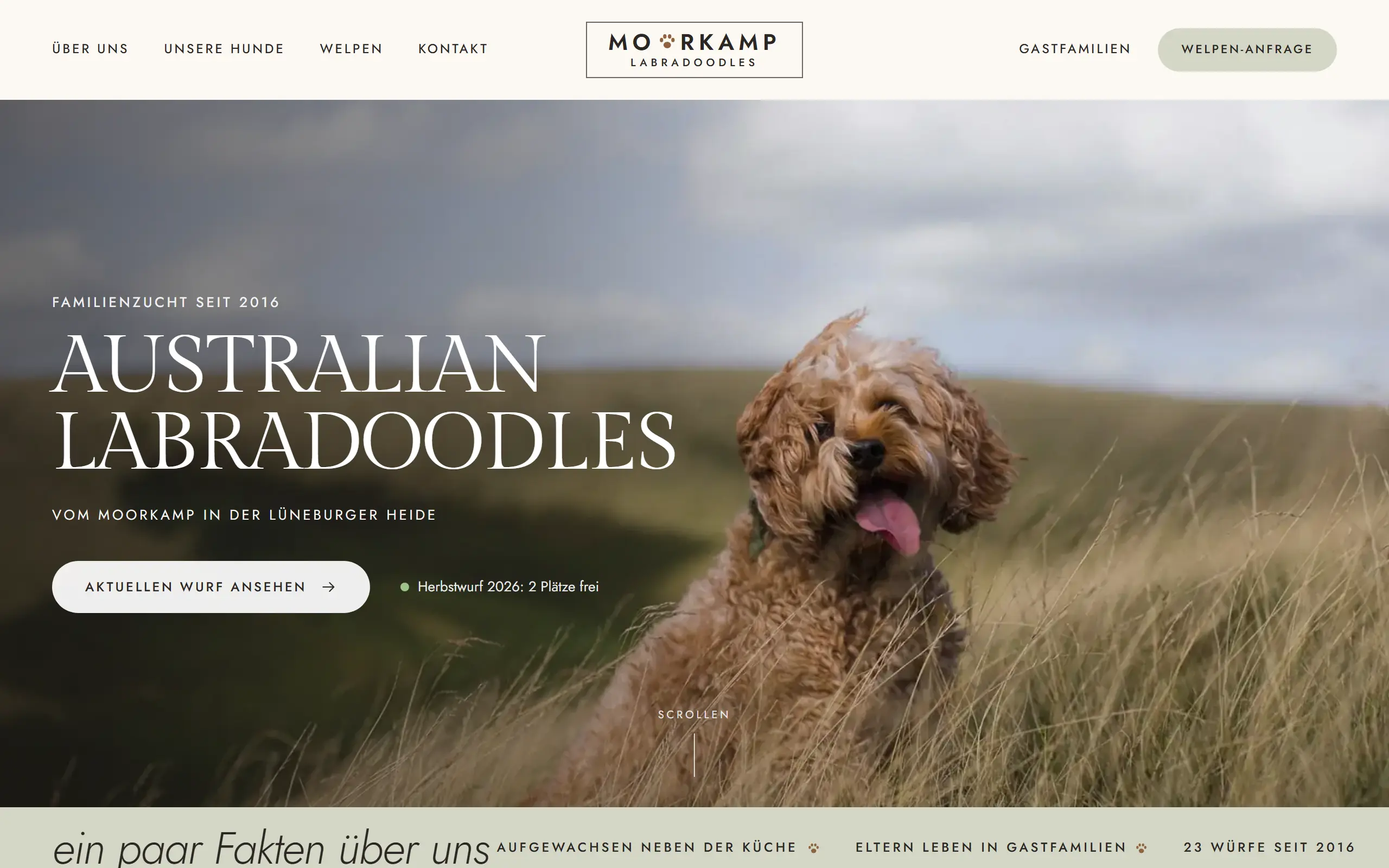 Startseite des Templates Moorkamp für eine Hundezucht