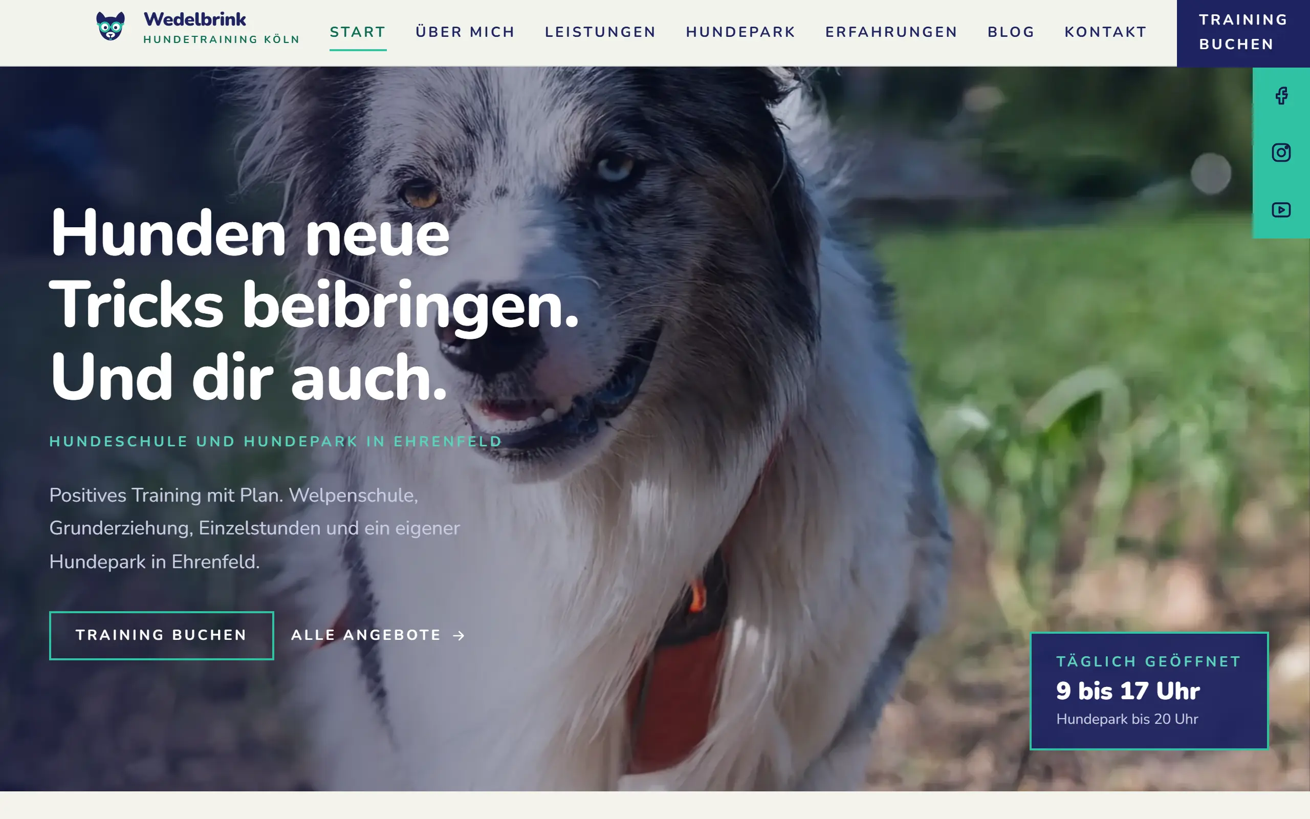 Startseite des Templates Wedelbrink für eine Hundeschule & Hundepark