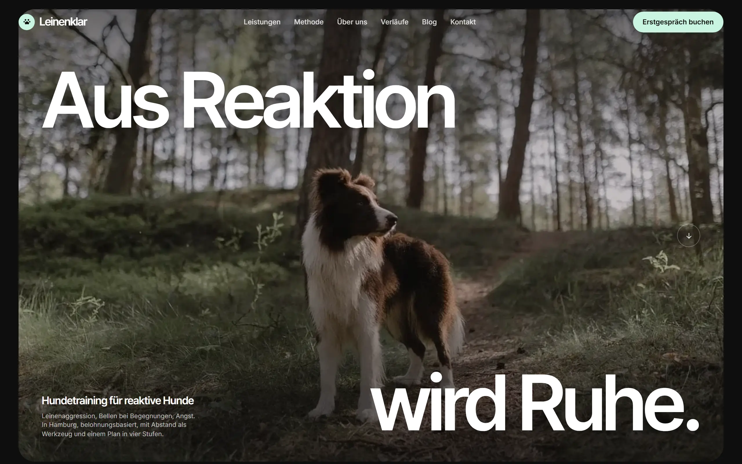 Startseite des Templates Leinenklar für eine Hundeschule & Verhaltensberatung