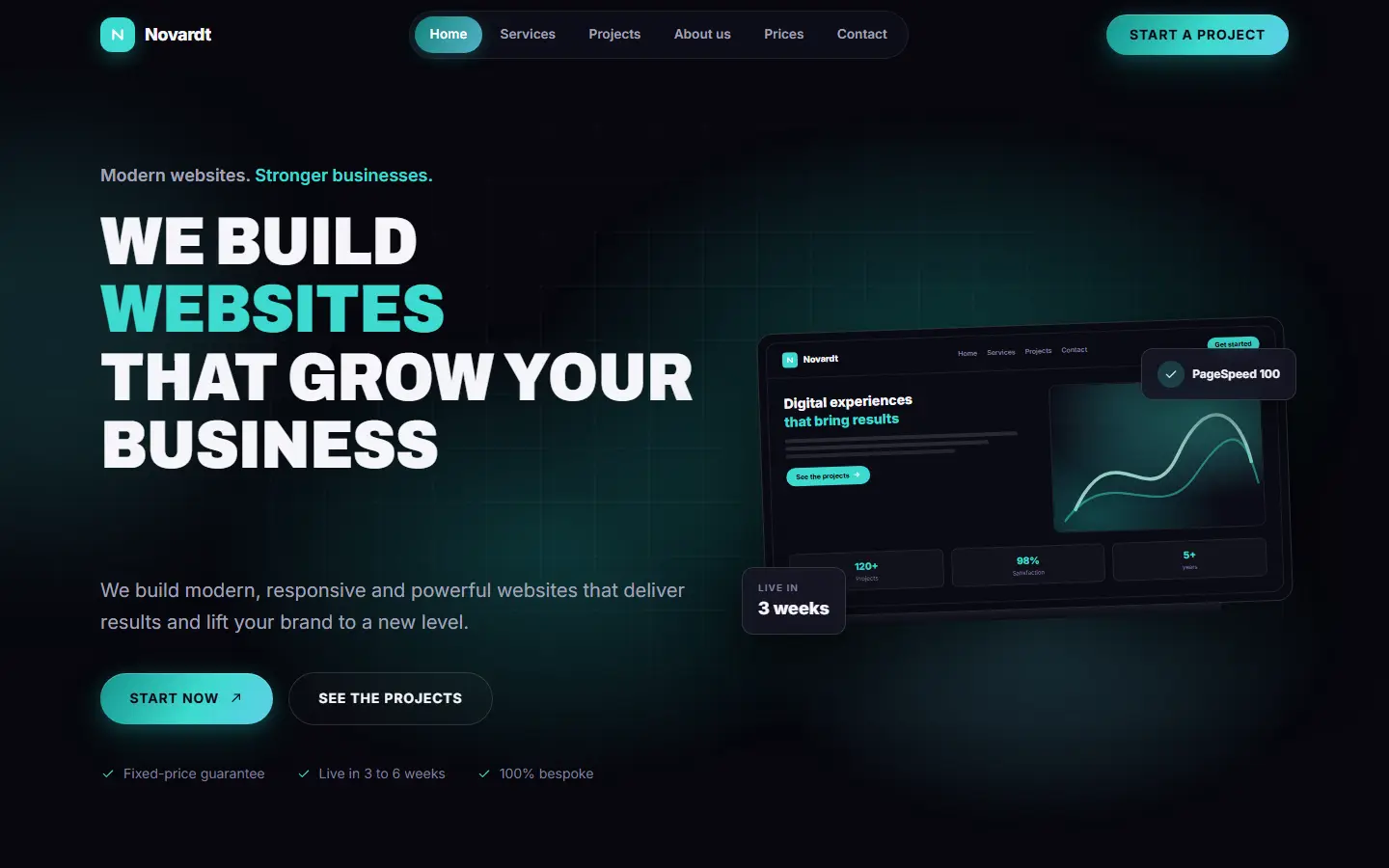Homepage of the Novardt template for web design studios and agencies