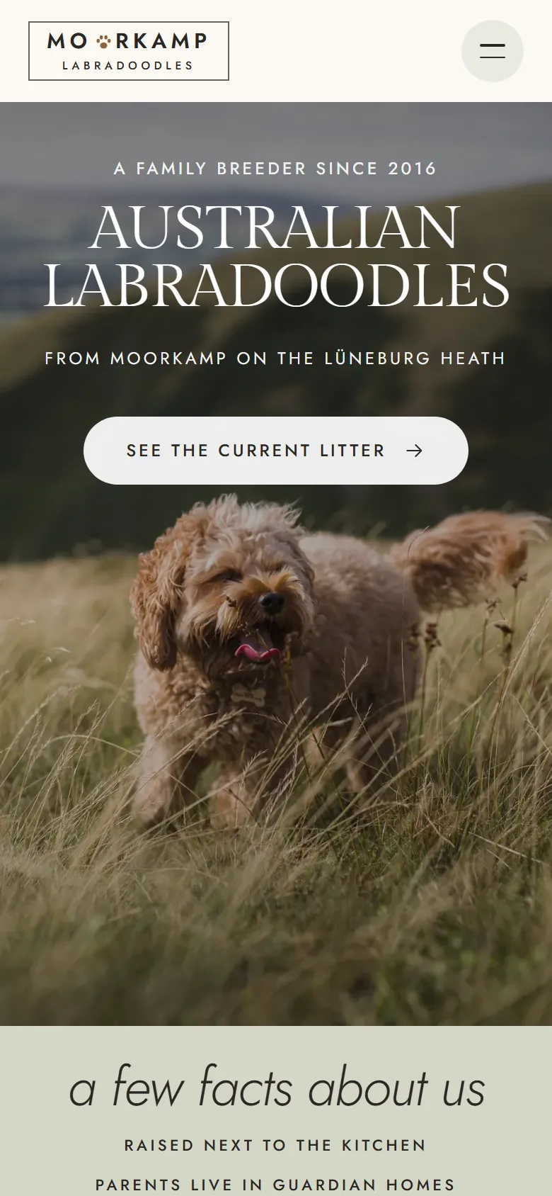 Mobile entry screen of the Moorkamp template