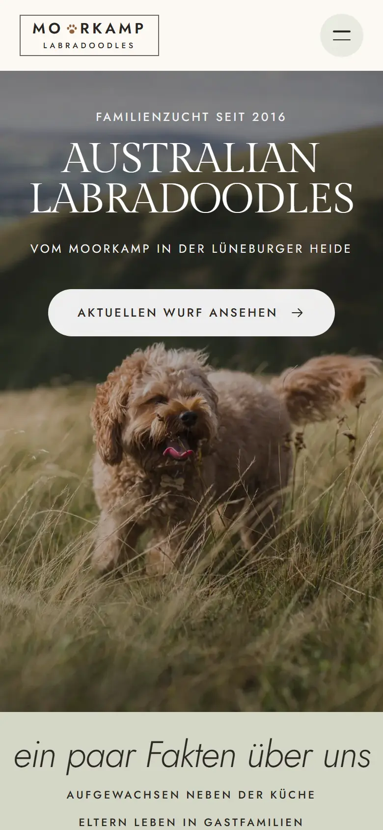 Mobile Startseite des Templates Moorkamp