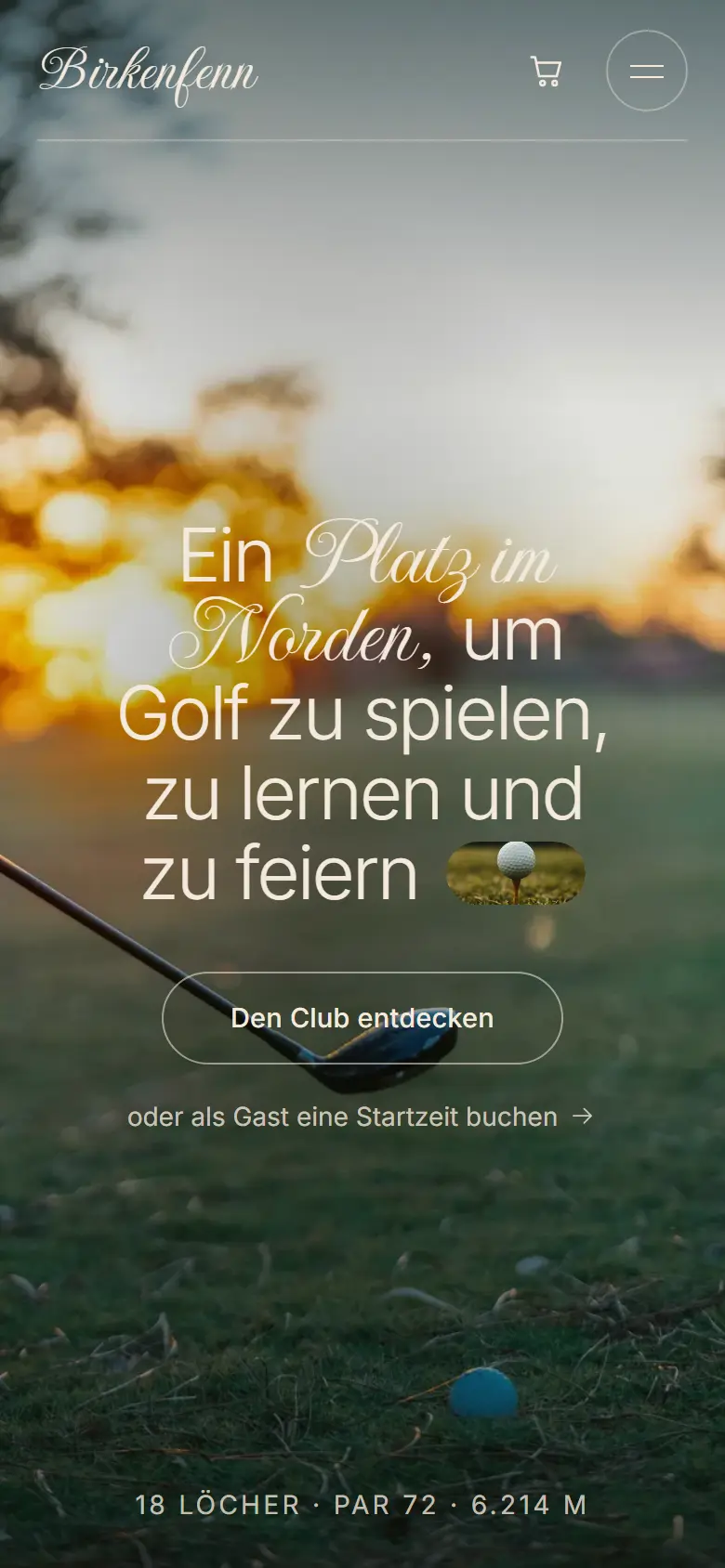 Mobile Startseite des Templates Birkenfenn