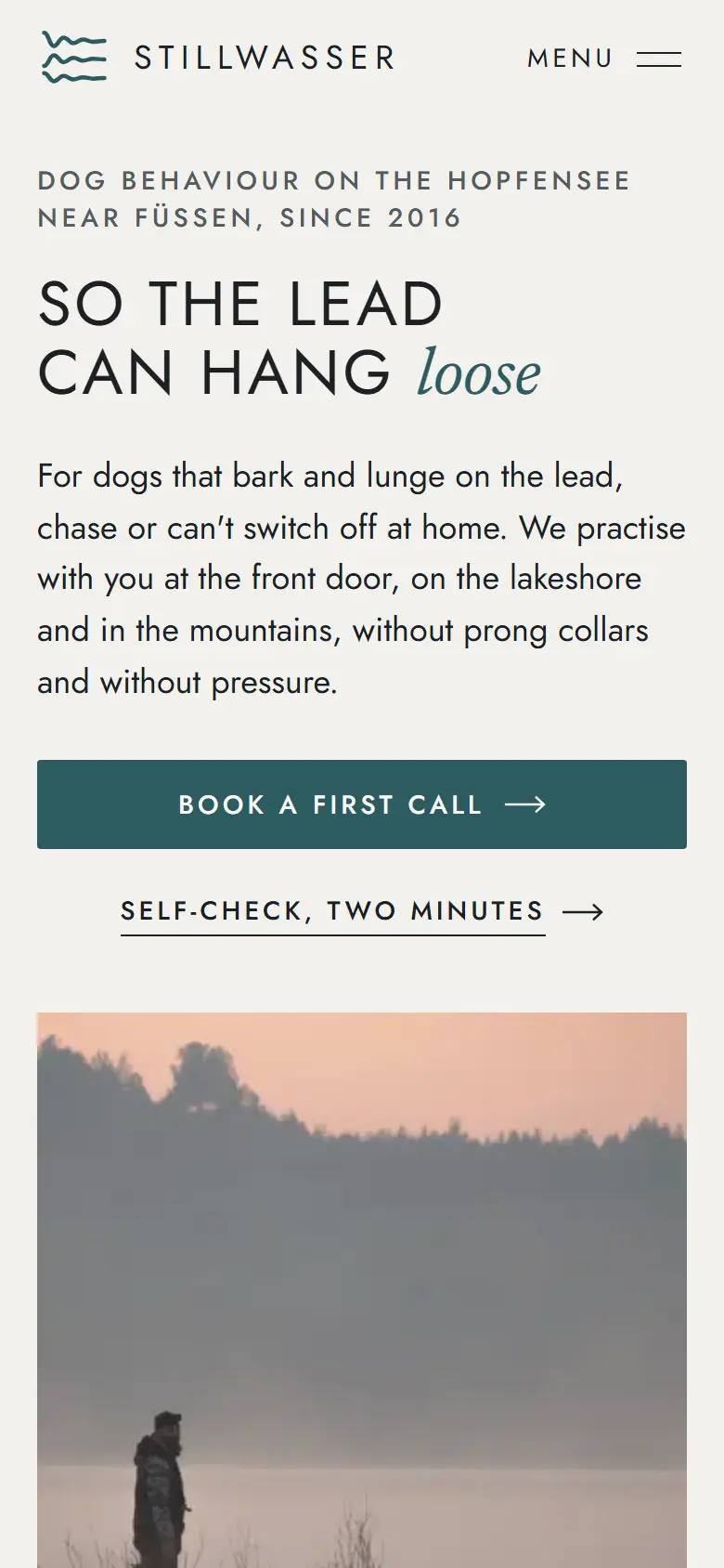 Mobile entry screen of the Stillwasser template