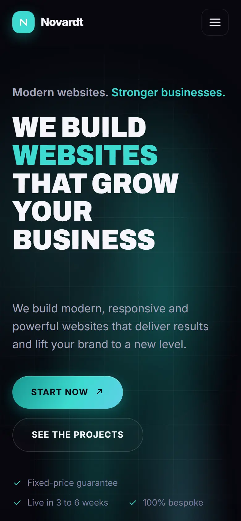 Mobile entry screen of the Novardt template
