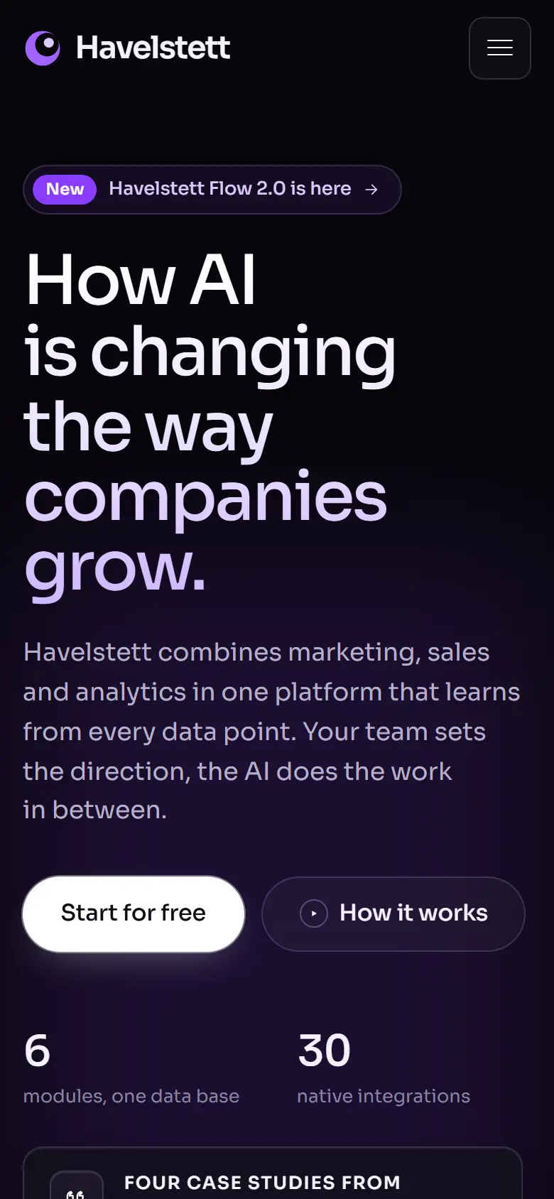 Mobile entry screen of the Havelstett template