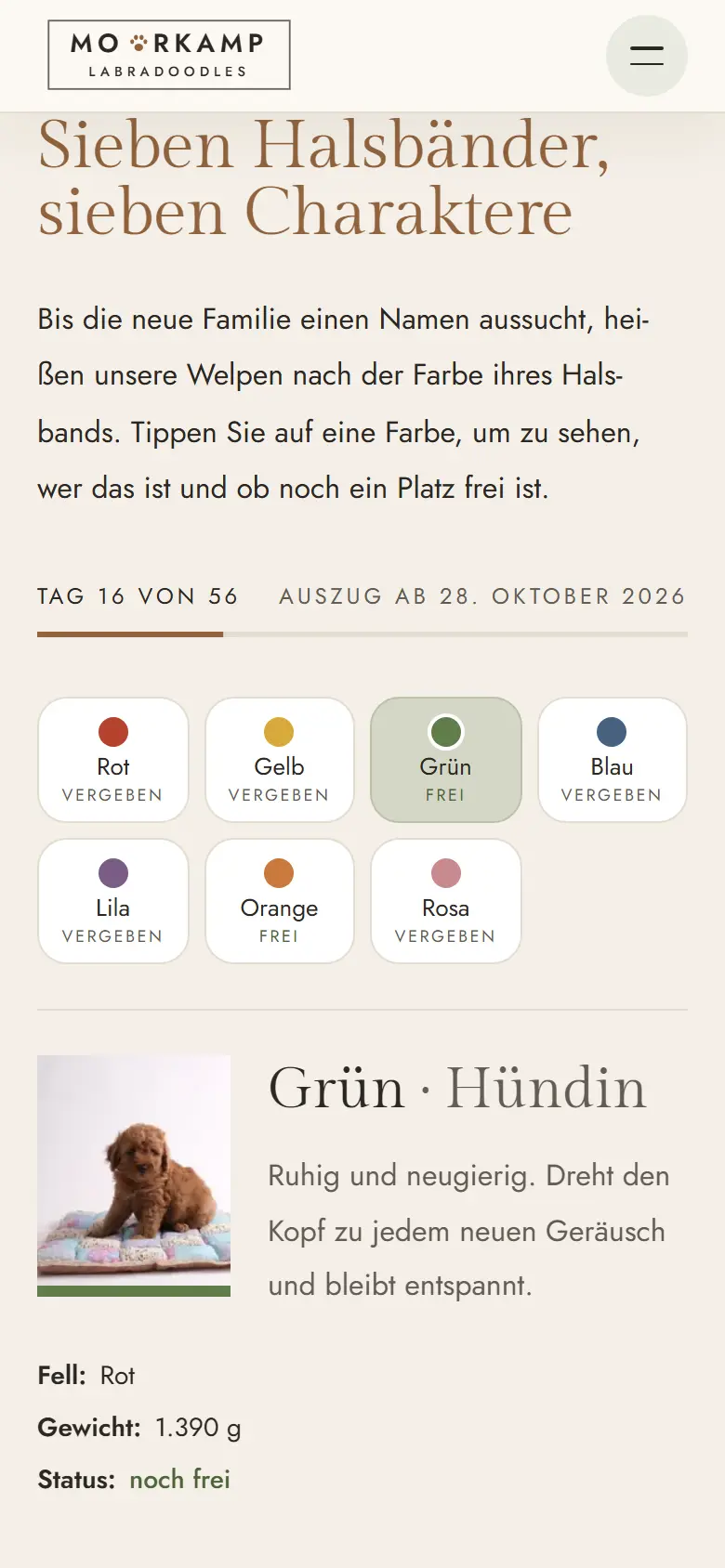 Das Template Moorkamp auf dem Telefon