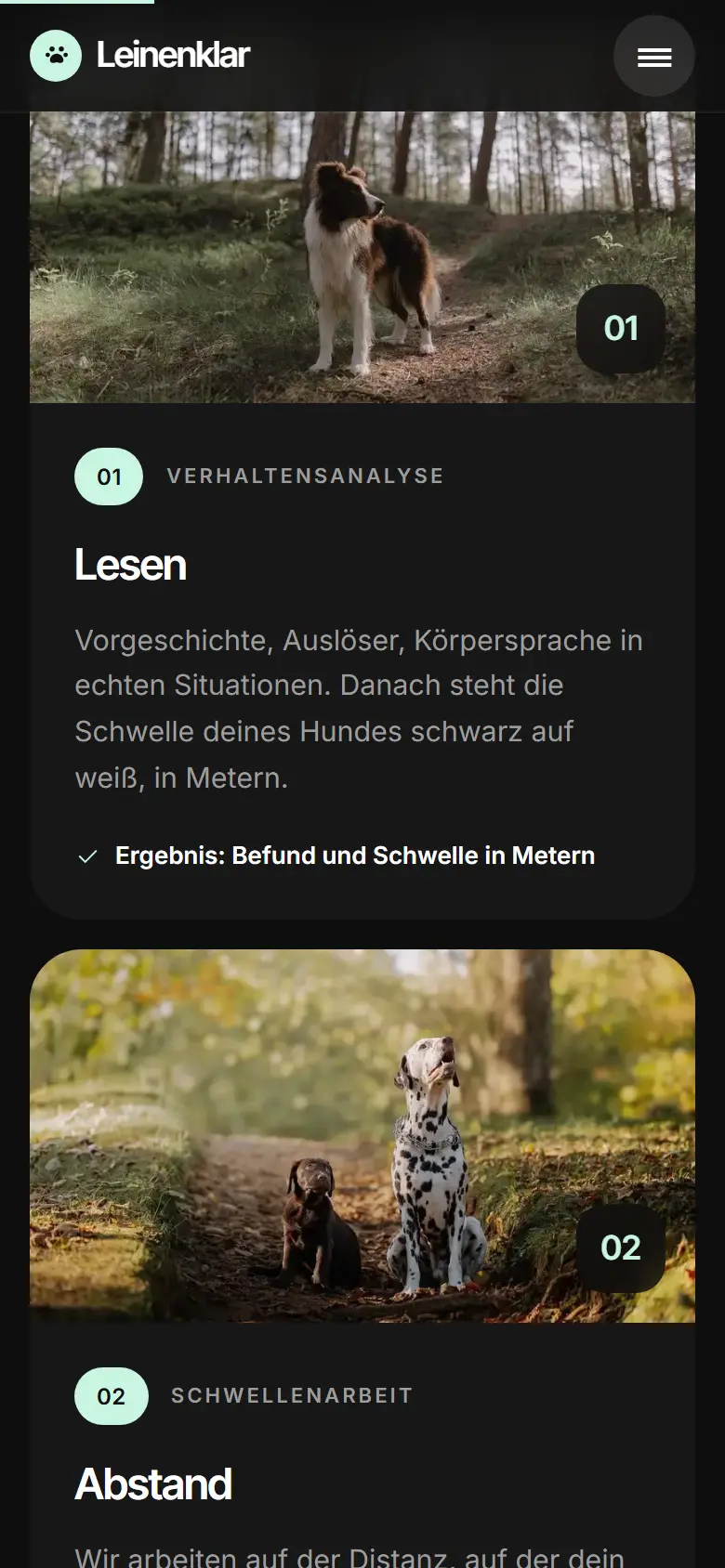 Das Template Leinenklar auf dem Telefon