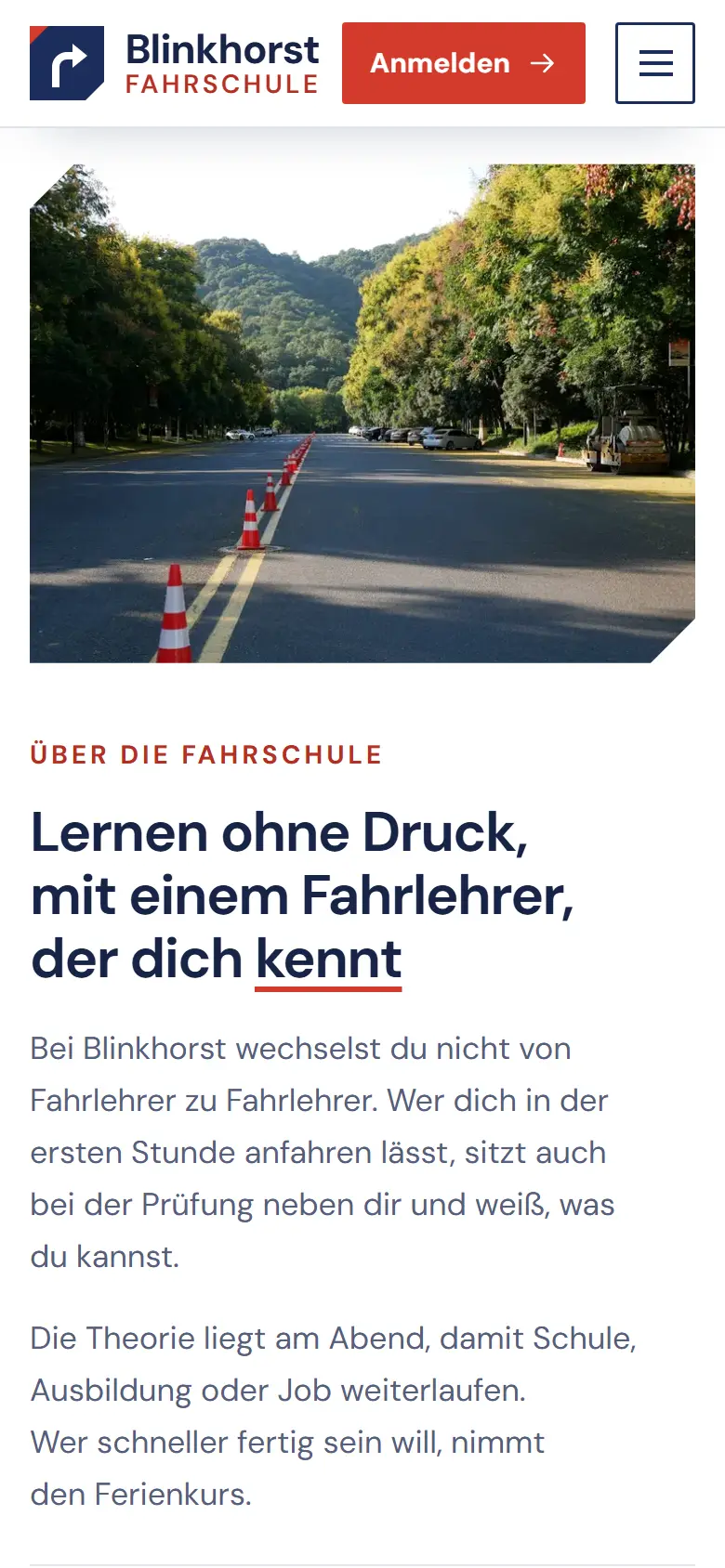 Mobile Inhalts-Sektion des Templates Blinkhorst