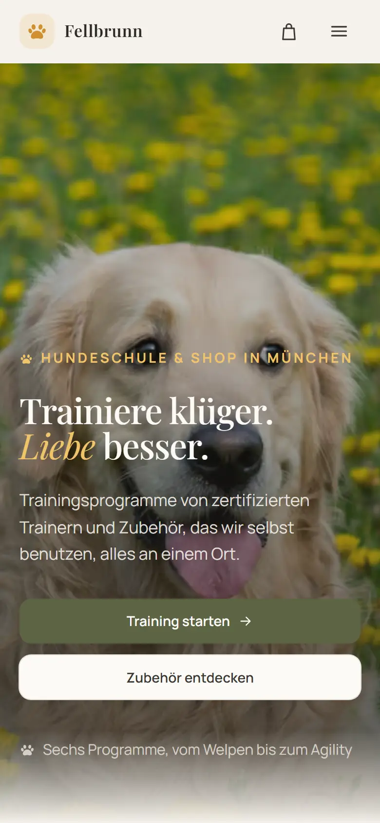Mobile Startseite des Templates Fellbrunn