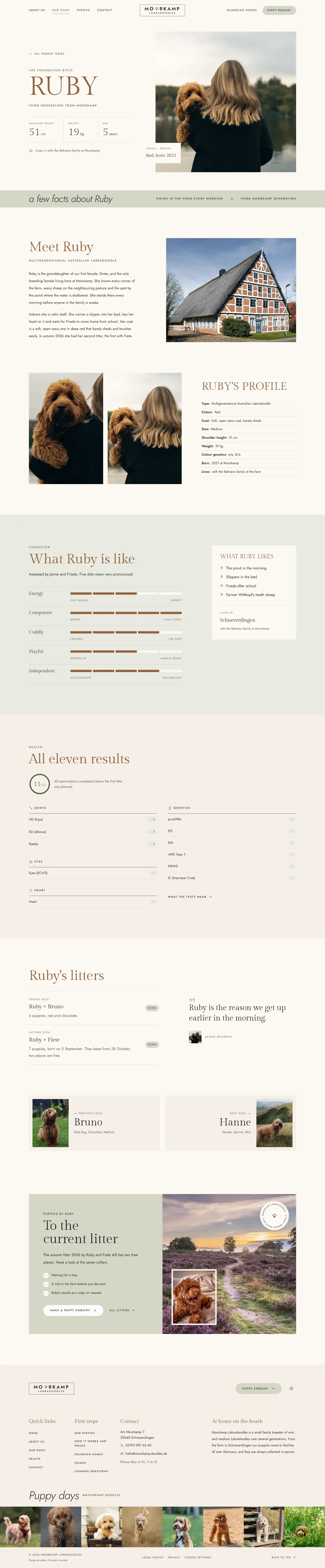 Profile page of a parent dog in the Moorkamp template with portrait and profile list