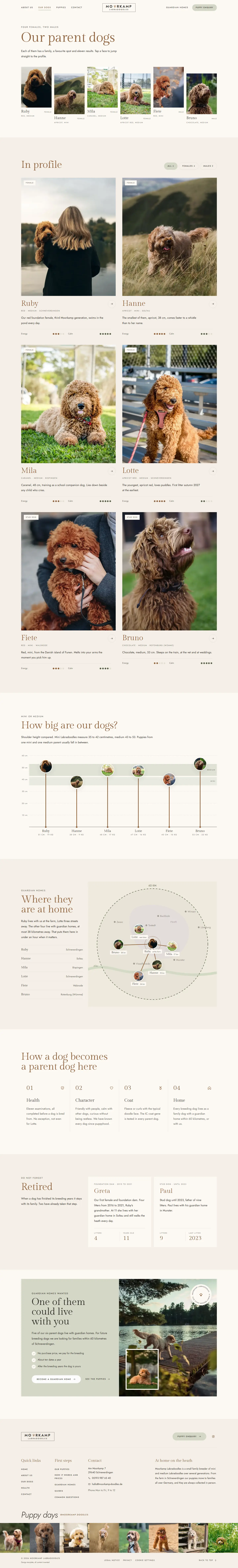 Overview of the parent dogs in the Moorkamp template with portrait row and size comparison