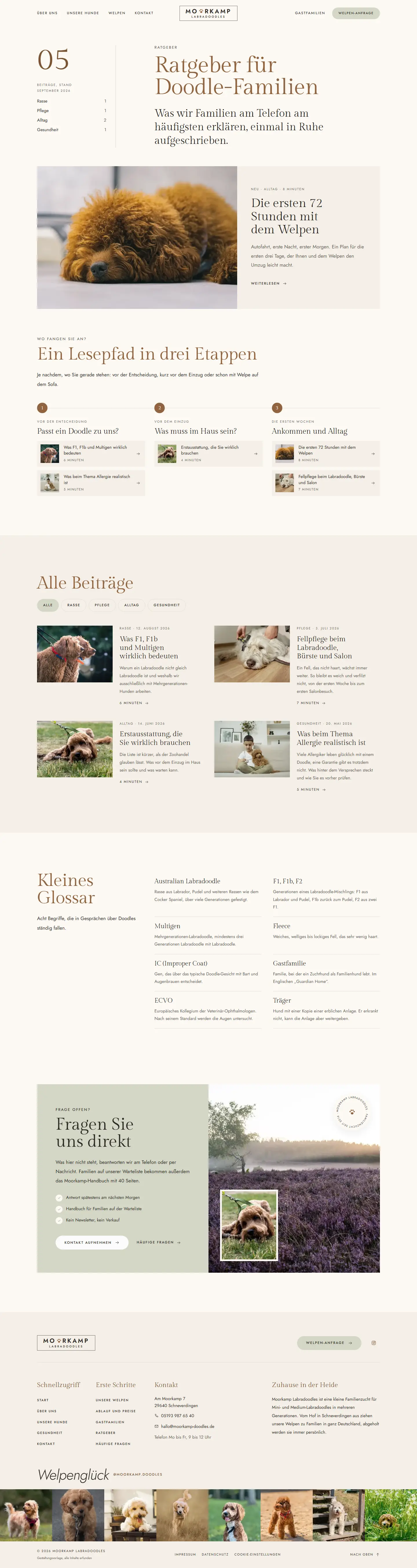 Fünf Langtexte mit eigenem Visual des Templates Moorkamp