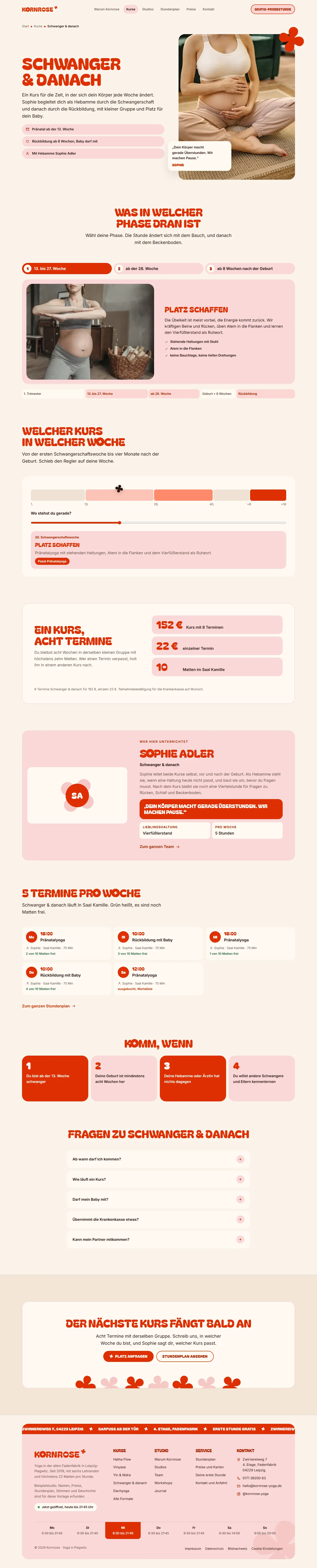 Schwanger & danach, Unterseite des Templates Kornrose